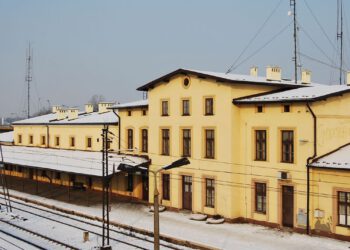 Pieczone Gołąbki – Trzebinia